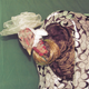 Best Dressed winner, Wobbler turkey wearing a Coach scarf and bangles (Michael Bohlken)
